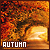 season: autumn